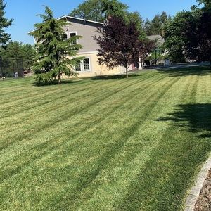 Meet your Posher, Cliff